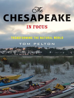 cover image of The Chesapeake in Focus
